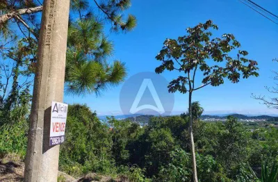 Terreno à venda, 444 m² por r$ 400.000,00 - ribeirão da ilha - florianópolis/sc
