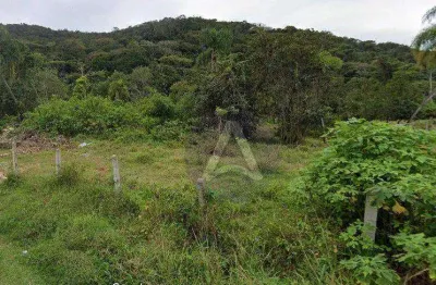 Terreno à venda, 777 m² por r$ 915.000,00 - rio tavares - florianópolis/sc