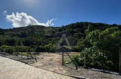 Terreno à venda, 388 m² por r$ 500.000,00 - rio tavares - florianópolis/sc