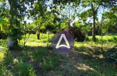 Terreno à venda, 4130 m² por r$ 9.490.000,00 - campeche - florianópolis/sc