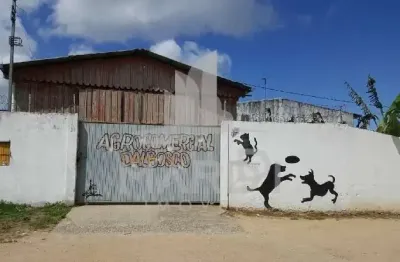 Barracão / galpão / depósito para alugar na estrada jorge pereira nunes, 35, campo novo, porto alegre por r$ 4.000