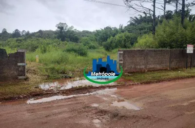 Área à venda, 36113 m² por R$ 10.000.000,00 - Chácaras Nova Suzano - Suzano/SP