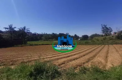 Área à venda, 100000 m² por r$ 30.000.000,00 - jardim são domingos - guarulhos/sp