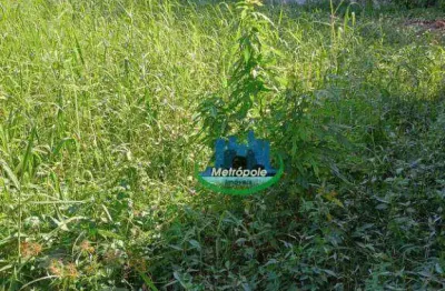 Terreno à venda, 275 m² por r$ 138.000,00 - jd nossa senhora do sion - itanhaém/sp