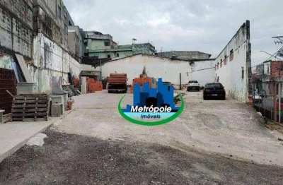 Terreno para alugar, 882 m² por r$ 14.000,01/mês - vila flórida - guarulhos/sp