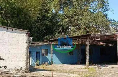 Terreno para alugar, 1800 m² por r$ 6.700,00/mês - jardim são geraldo - guarulhos/sp