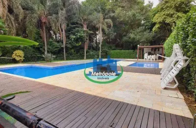 Apartamento com 3 dormitórios à venda, 56 m² por r$ 360.000 - cocaia - guarulhos/sp