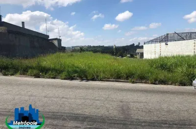 Terreno à venda, 1250 m² por r$ 1.250.000,00 - rio abaixo - itaquaquecetuba/sp