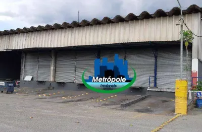 Galpão para alugar, 900 m² por r$ 59.980/mês - vila são rafael - guarulhos/sp