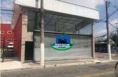 Galpão para alugar, 220 m² por r$ 15.550/mês - vila constança - são paulo/sp