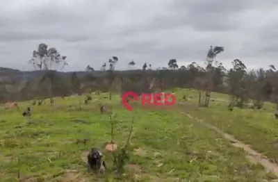 Área à venda, 52000 m² por r$ 3.000.000,00 - zona rural - louveira/sp