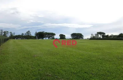 Terreno à venda, 10100 m² por r$ 25.000.000,00 - condomínio fazenda boa vista - porto feliz/sp