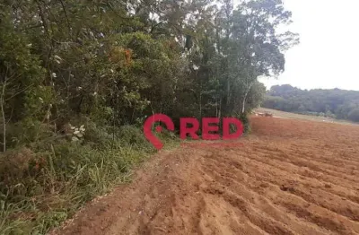 Terreno à venda, 98000 m² por r$ 550.000,00 - piedade - piedade/sp