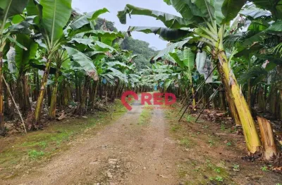 Sítio à venda, 145000 m² por r$ 600.000,00 - zona rural. - juquiá/sp