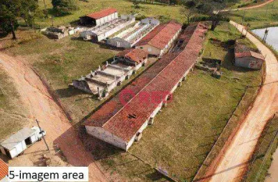 Chácara com 7 dormitórios à venda, 16000 m² por r$ 3.500.000,00 - jardim paraíso ii - itu/sp