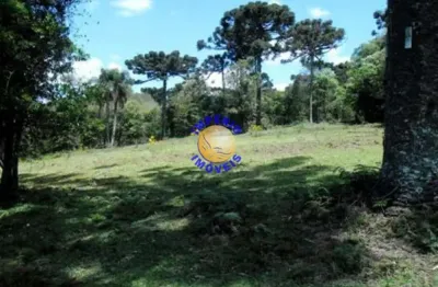 Império imóveis vende terreno no bairro rosário, próximo igreja ns