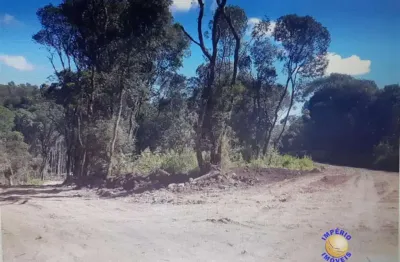 Imperio imoveis vende excelente chácara no bairro caravaggio.