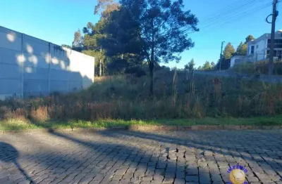 Imperio imoveis vende excelente terreno no bairro desvio rizzo, proxim