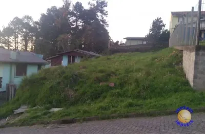 Império imóveis vende terreno no bairro são caetano, metragem 12x31