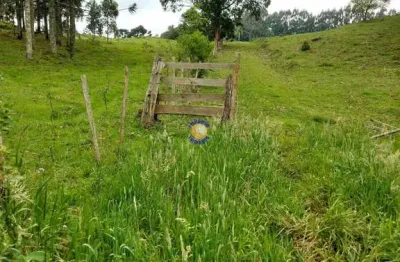 Império imóveis, vende área de terra com 51,3 hectares em santa lúcia do piaí.