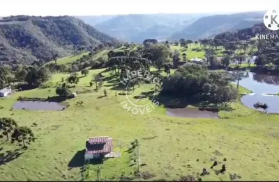Chácara / sítio à venda no Santa Lúcia do Piaí, Caxias do Sul 