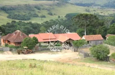 Chácara / sítio à venda na Eletra, São Francisco de Paula 