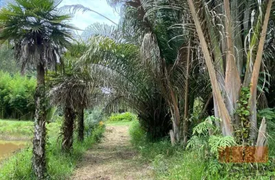 Chácara com 3 dormitórios à venda, 126.315m² por r$ 4.000.000,00 - chácara sete cruzes - suzano/sp