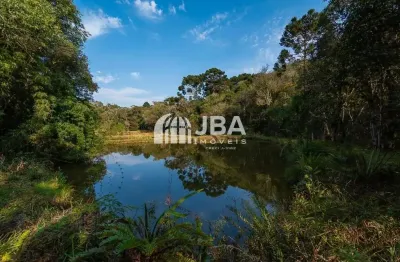 Chácara / sítio à venda na josé aldo zielinski, pé de erva, mandirituba por r$ 1.100.000