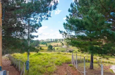 Chácara / sítio à venda na josé carlos pereira dos santos, 800, rancho alegre, campina grande do sul por r$ 630.000