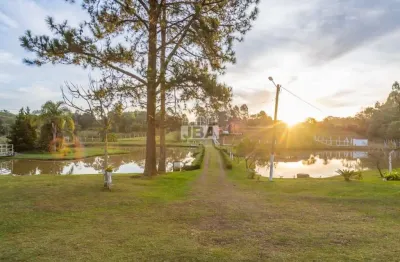 Chácara / sítio com 3 quartos à venda na João Baptista Setim, Zona Rural, Tijucas do Sul, 250 m2 por R$ 950.000
