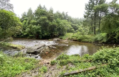 Área de 92 alqueires em guaricana - apenas 15 km da br 376