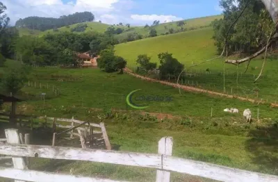Chácara com 5 dormitórios à venda, 25000 m² por r$ 800.000,00 - conceicao dos ouros - conceição dos ouros/mg
