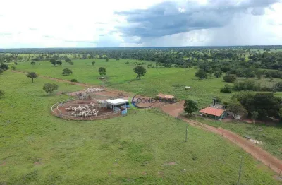 Fazenda com 4 dormitórios à venda, 160058800 m² por r$ 200.000.000,00 - centro - bonópolis/go