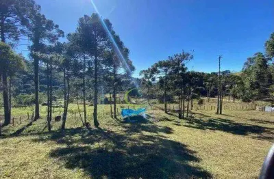 Área à venda, 46000 m² por r$ 950.000,00 - atras da pedra - gonçalves/mg