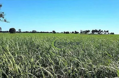 Fazenda à venda, 11616000 m² por r$ 57.000.000,00 - alexandrina - quirinópolis/go