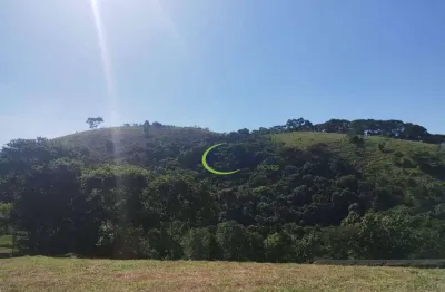 Sítio à venda, 605000 m² por r$ 13.200.000,00 - roncador - são francisco xavier/sp