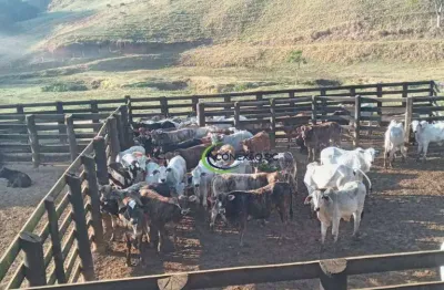 Fazenda com 3 dormitórios à venda, 3388000 m² por r$ 11.700.000 - centro - lorena/sp