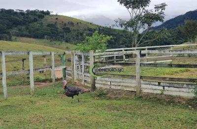 Sítio com 3 dormitórios à venda, 290400 m² por r$ 3.500.000 - ribeirão grande - pindamonhangaba/sp