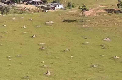 Área à venda, 35000 m² por r$ 6.200.000 - jardim sandra maria - taubaté/sp