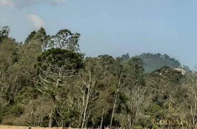 Área à venda, 48400 m² por r$ 500.000 - centro - joanópolis/sp