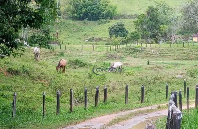 Fazenda com 2 dormitórios à venda, 1355200 m² por r$ 5.000.000,00 - ribeirão grande - pindamonhangaba/sp
