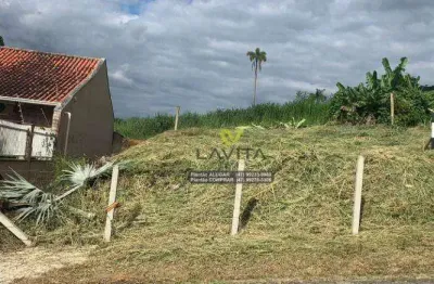 Terreno à venda, 387 m² por r$ 265.000,00 - velha - blumenau/sc