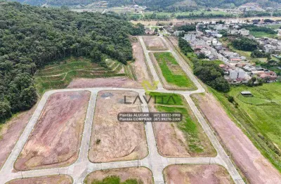 Terreno em loteamento fechado à venda - 100% plano e alto, 360 m² por r$ 260.000 - figueira - gaspar/sc | la vita imóveis