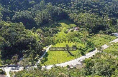 Sítio à venda, 47968 m² por r$ 890.000,00 - fidélis - blumenau/sc