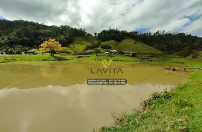 Sítio com 3 dormitórios à venda, 206437 m² por r$ 2.200.000 - vila itoupava - blumenau/sc | la vita imóveis