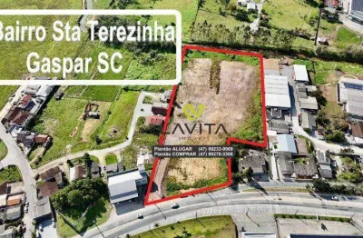 Terreno à venda comercial ou residencial com 14.795m² - bairro sta terezinha - gaspar sc | la vita imóveis
