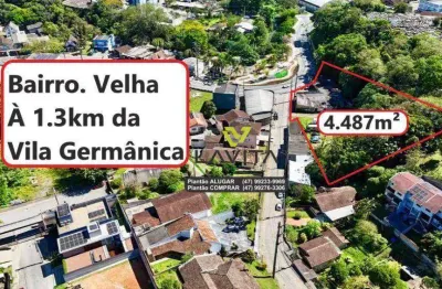 Terreno comercial ou residencial com loja à venda, 4.487 m² por r$ 2.500.000 - bairro velha - blumenau/sc
