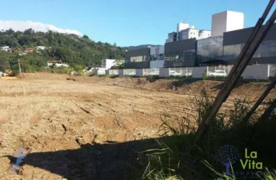 Terreno à venda, 10772 m² por r$ 17.500.000 - centro - blumenau/sc | la vita imóveis