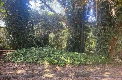 Terreno à venda, 600 m² por r$ 175.000,00 - alvarenga - são bernardo do campo/sp