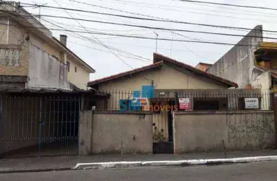 Terreno à venda, 255 m² por r$ 590.000,00 - vila constança - são paulo/sp
